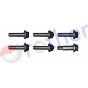 T0002 - Kit Tornillos SAF